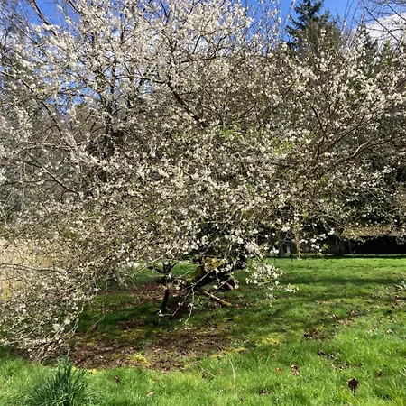 Ker Lann Villa Paimpont Buitenkant foto